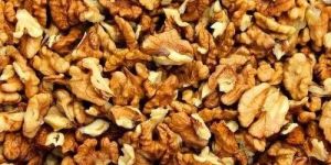 Fresh Walnut Kernels