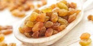 Golden Dry Raisins