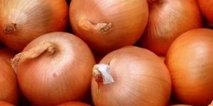 Brown Onion