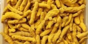 Dried Turmeric Finger