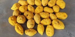 Sangli Turmeric Bulb