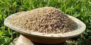 Unpolished Little Millet Rice