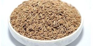 Cumin Seeds