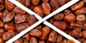 Saudi Hidri Dates