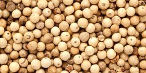 White Pepper (Unbleached)