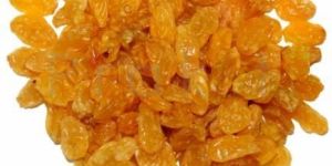 Golden Raisins