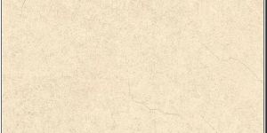 Bathroom Floor Tile
