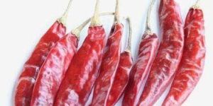 Teja Dried Red Chilli