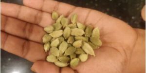 Green Cardamom