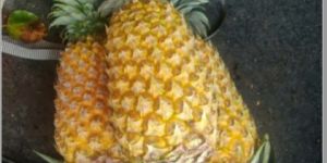 Fresh Pineapple