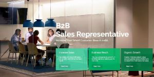 B2B Sales Representative