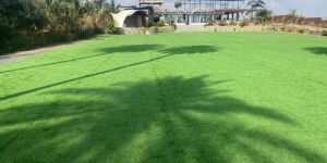 Artificial Grass