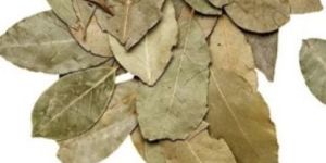 Dried Bay Leaves