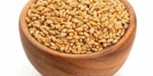 Wheat Seeds