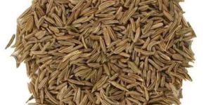 Caraway Seeds