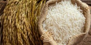 1121 Basmati Rice