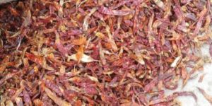 Teja Fatki Red Chilli