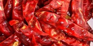 Dry Red Chilli