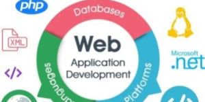 Web Application Development Service