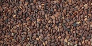 Brown Sesame Seeds