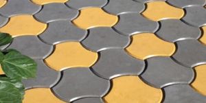 Interlocking Paver Block