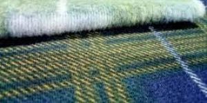 Polyester 2/3 Thread Printed Fleece Fabric