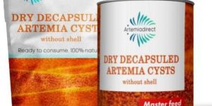 Dry Decapsulated Artemia Cysts