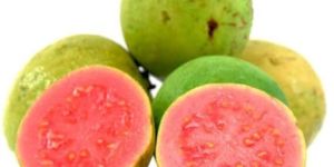 Red Guava