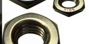 SS Hex Nut