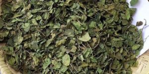 Gymnema Leaves