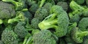 Fresh Broccoli