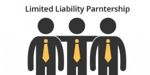 Incorporation of LLP Services