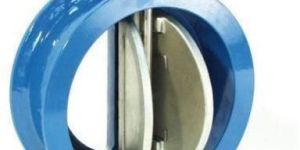 Dual Plate Check Valve