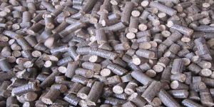 Bio Mass Briquettes