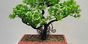 Artificial Bonsai Plant