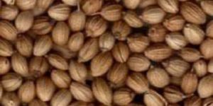 Badami Coriander Seeds