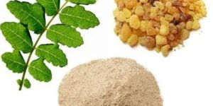 Boswellia Extract