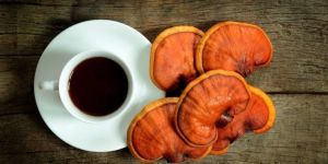 Ganoderma Extract