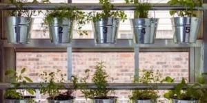 Garden Iron Hanging Planter