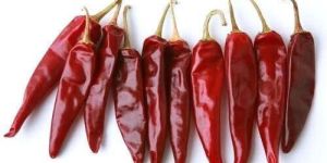 Dry Red Chilli