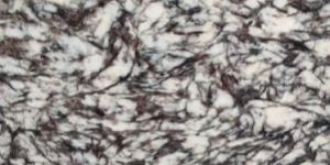 Italian Dyna Marble Slab