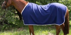 Horse Rugs