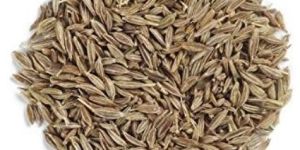 Cumin Seeds