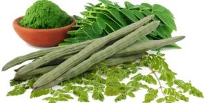 Moringa Leaf Powder