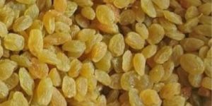 Golden Raisins