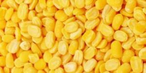 Yellow Moong Dal