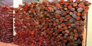Red Sandalwood Logs