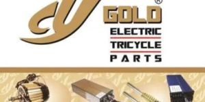 E Rikshaw Convertion Kit