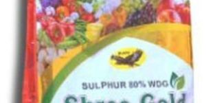 Sulphur 80% WDG Fungicides