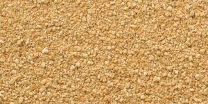 Soybean Meal